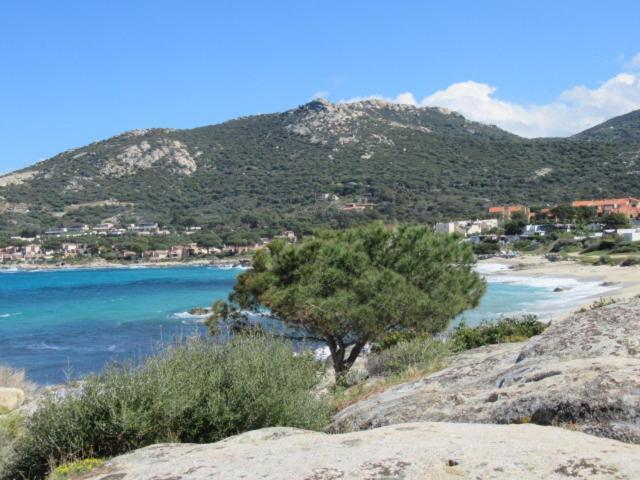 T2 Renove 100M Plage Avec Spa Privatif Entre Calvi Et Ile Rousse Lumio  Buitenkant foto